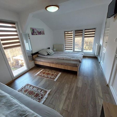 Cabana Casa Lu'Baciu Arpaşu de Sus 외부 사진