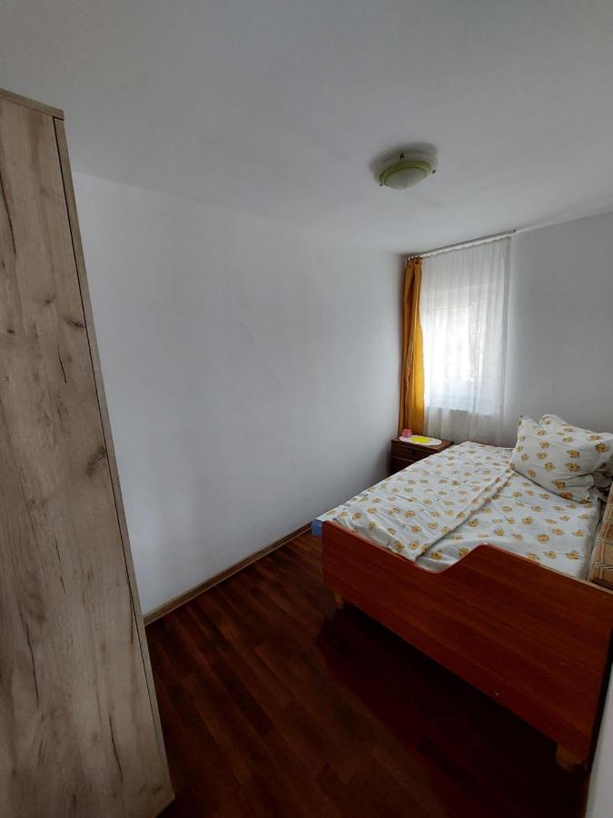 Cabana Casa Lu'Baciu Arpaşu de Sus 외부 사진