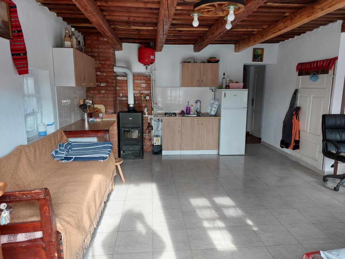 Cabana Casa Lu'Baciu Arpaşu de Sus 외부 사진